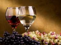 Image of two glasses of wine surrounded by grapes on the vine